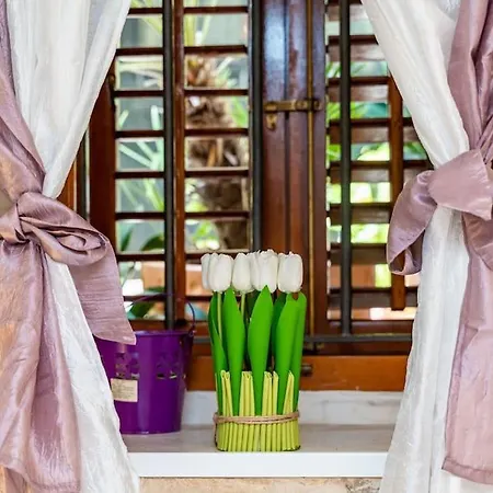 Plaza In The Centre Dubrovnik